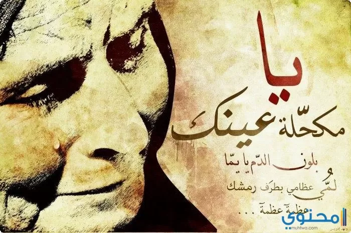 عن الأم07