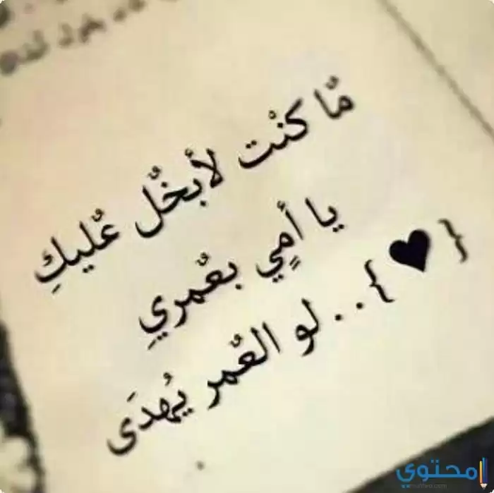 عن الأم08