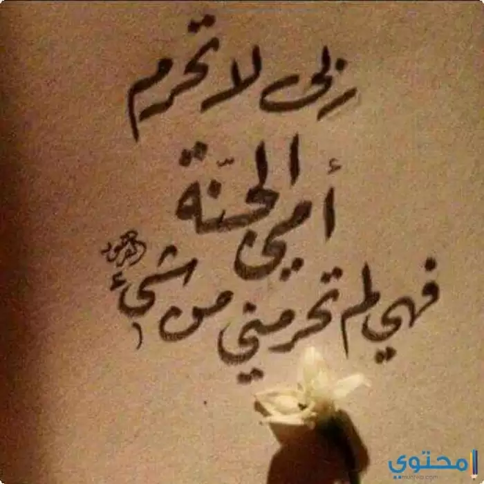 عن الأم16