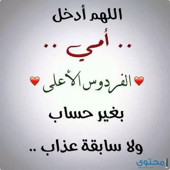 عن الأم23