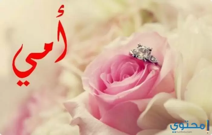 عن الأم29