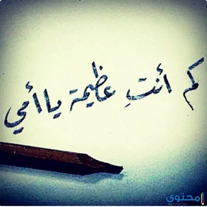 عن الأم31