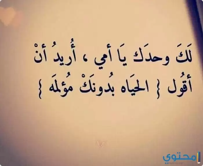 عن الأم36