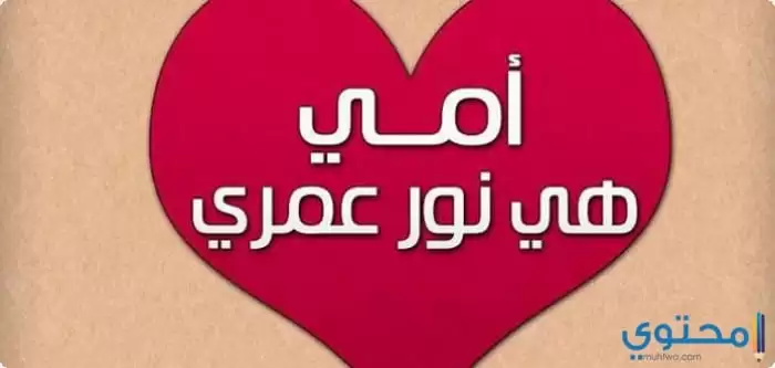 عن الأم42