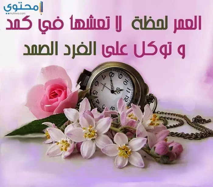 خلفيات مكتوب عليها عبارات إسلامية 