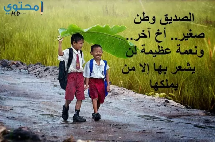 خلفيات روعة للفيس بوك عن الصداقة 
