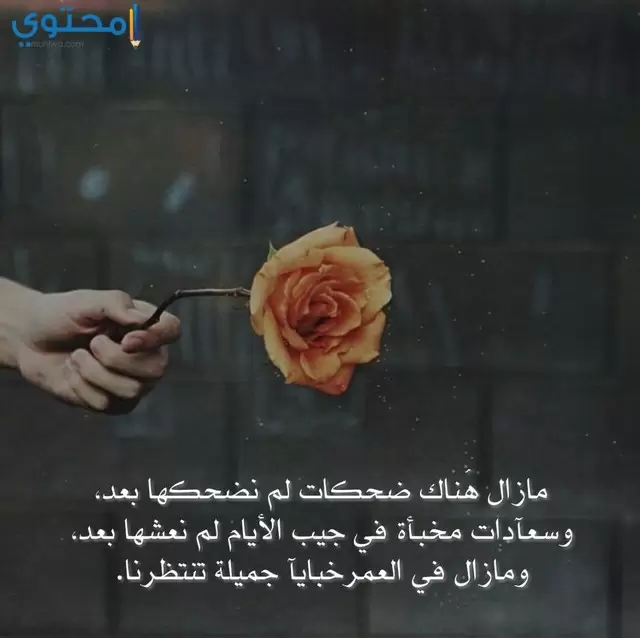 صور خلفيات واتس