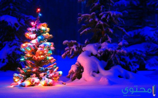 مجموعة من أجمل صور عيد الميلاد المجيد 