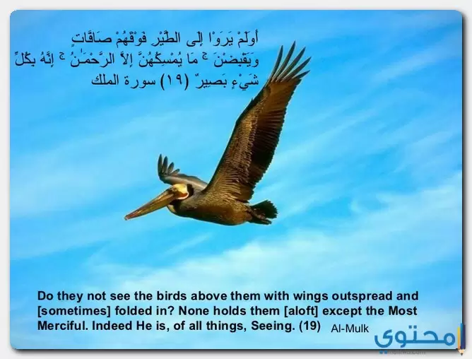 آيات عن خلق الكون