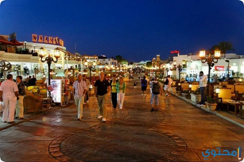 نعمة1