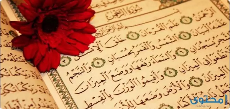 سورة الرحمن