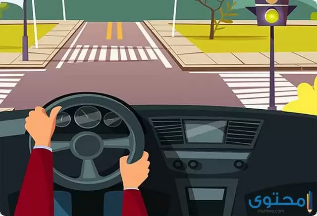 دراسة جدوى مشروع تعليم قيادة السيارات للسيدات
