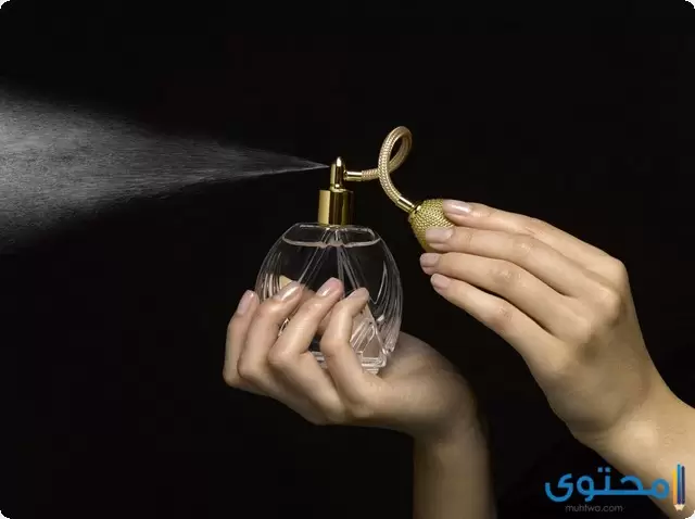 دراسة جدوى مشروع محل عطور