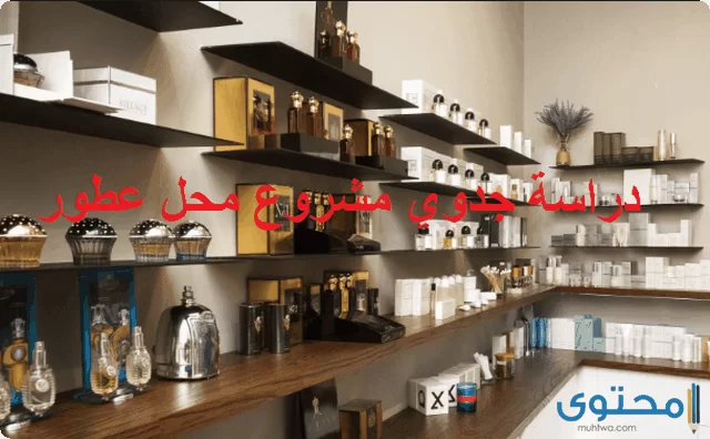 دراسة جدوى مشروع محل عطور