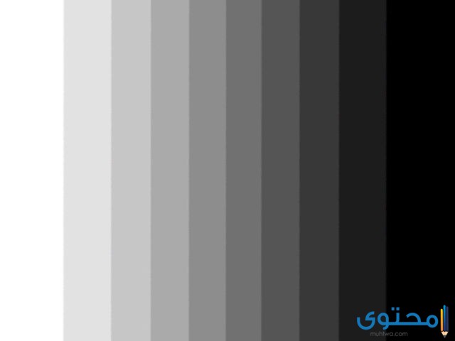 الفرق بين الرصاصي والرمادي