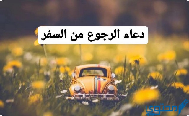 دعاء الرجوع من السفر بالسلامة مكتوب كامل - موقع محتوى دعاء الرجوع من السفر بالسلامة مكتوب كامل - موقع محتوى