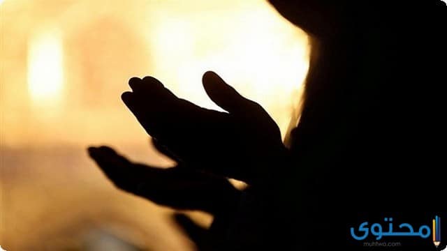 دعاء الصباح للامام علي
