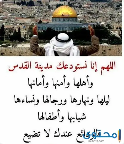 اللهم انصر إخواننا في فلسطين