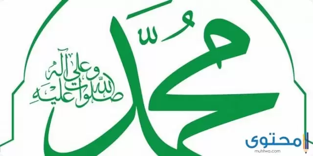 كلمات عن المولد النبوي الشريف 1445 مدح الرسول الكريم