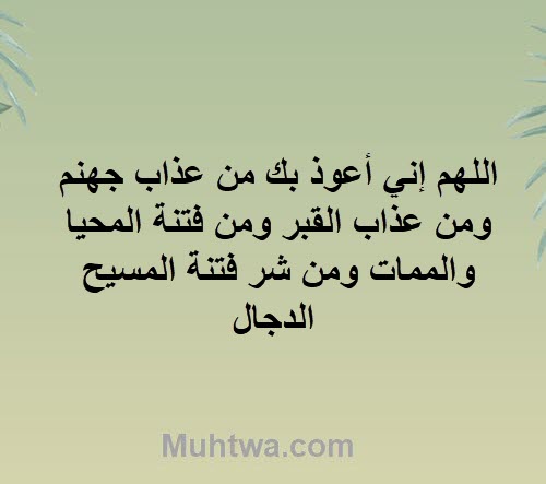 دعاء صلاة التراويح والتهجد مكتوب كامل 1445 1 دعاء صلاة التراويح