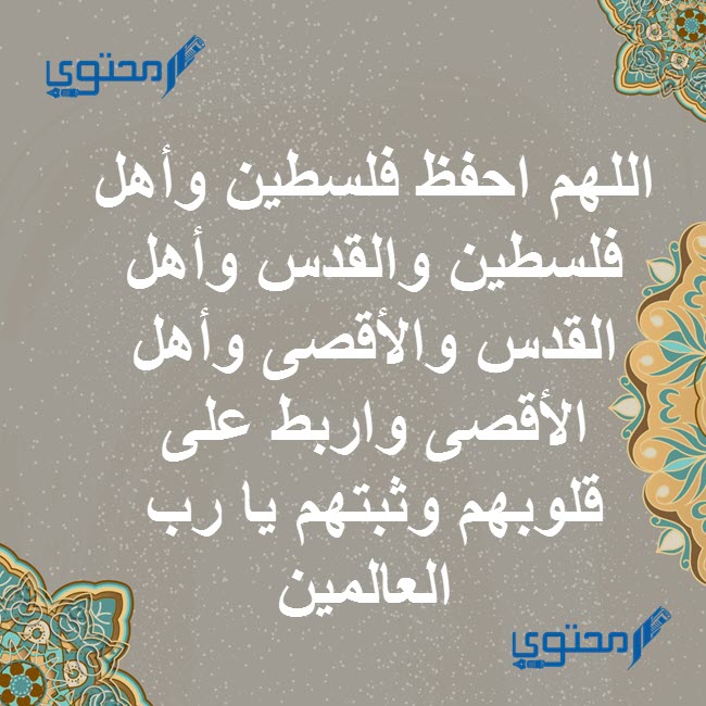 46+ دعاء لغزة مكتوب (ادعية لنصرة أهل قطاع غزة في الحرب) 1 دعاء لنصرة المسجد الأقصى