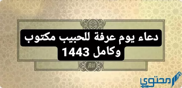 دعاء يوم عرفة للحبيب “اللهم حقق لحبيبي ما يتمنى”