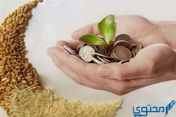 طريقة دفع زكاة الفطر في الكويت أونلاين 2023 1 دفع زكاة الفطر في الكويت