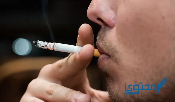 دفع مخالفات التدخين الكويت بطريقة سهلة 2024