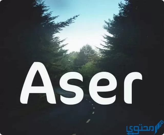 دلع اسم اسر Aser بالعربي والانجليزي