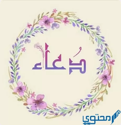 دلع اسم دعاء 