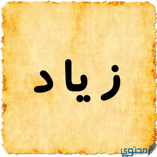 دلع اسم زياد