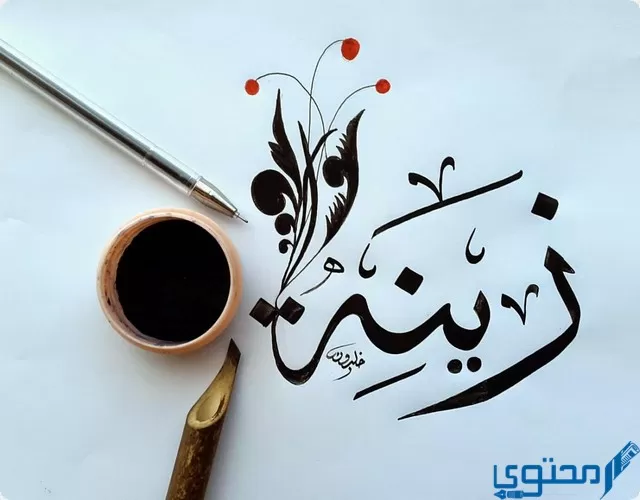 دلع اسم زينة