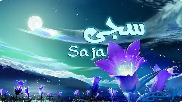 دلع اسم سجى Saja بالعربي والانجليزي