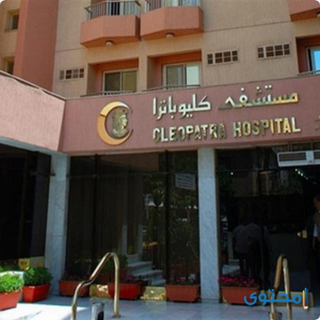 دليل المستشفيات الخاصة بالقاهرة