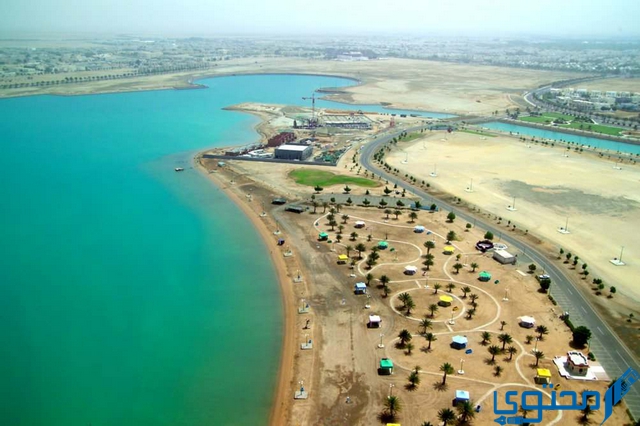 دليل شواطئ السعودية