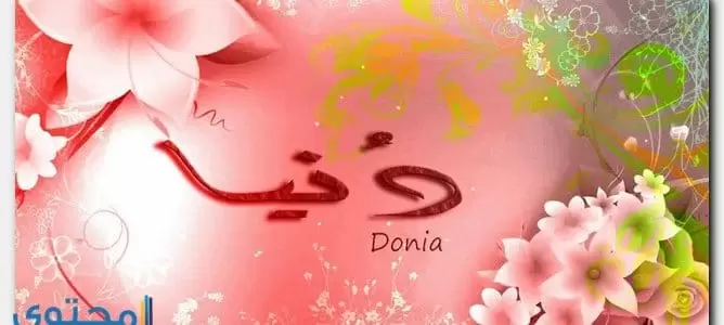 معنى اسم دنيا 
