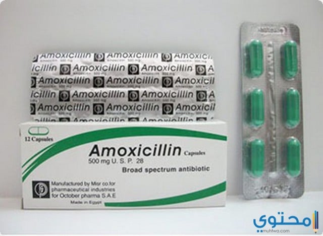 أموكسيسيللين Amoxicillin لعلاج الالتهابات البكتيرية