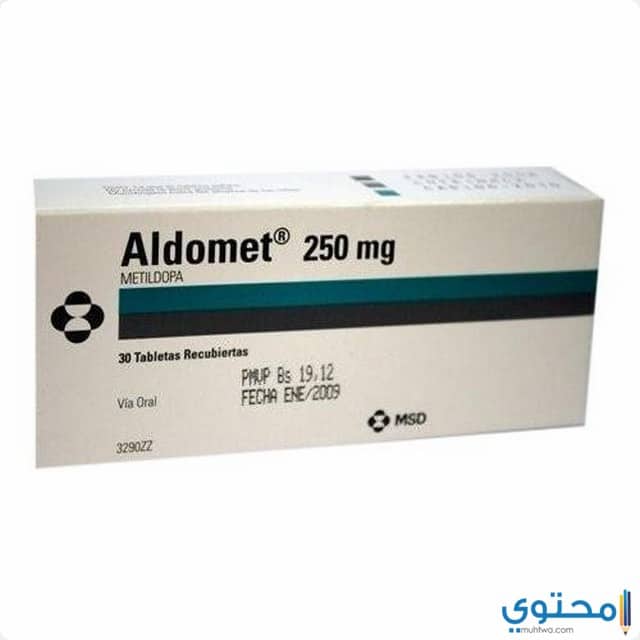 بريمولوت لتنزيل الدورة