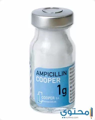 دواعي استخدام دواء أمبيسيللين