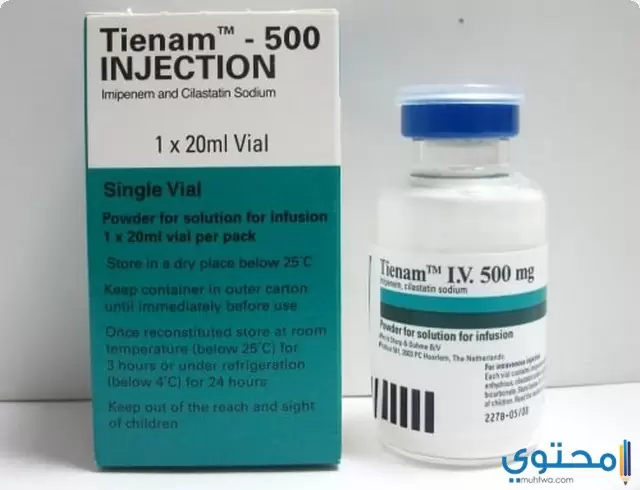 تينام 2