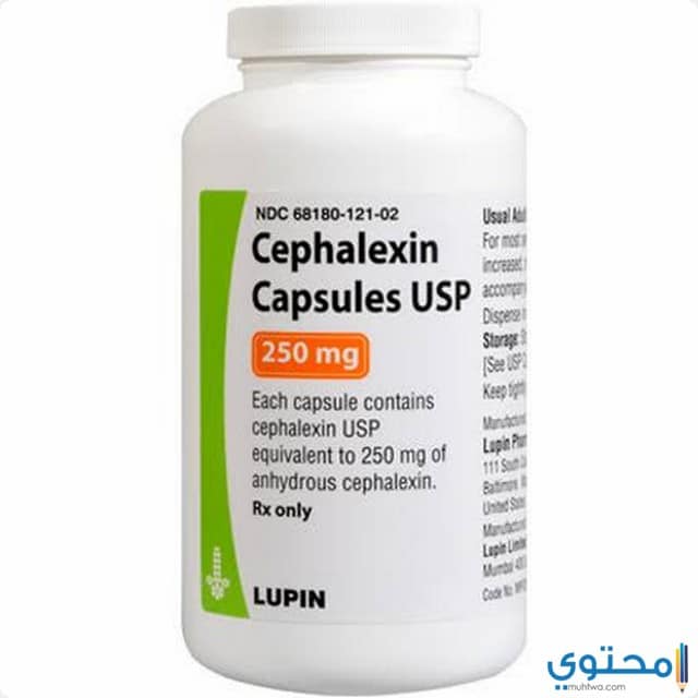 دواء سيفالكسين 500 (CEPHALEXIN) دواعي الاستعمال والاثار الجانبية