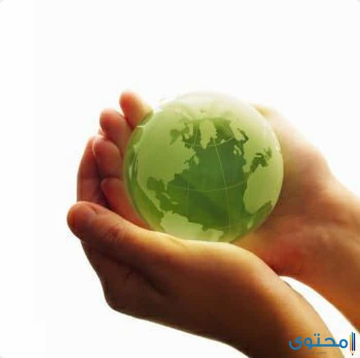 موضوع عن دور الإسلام في المحافظة على البيئة 1 الإسلام في المحافظة على البيئة1