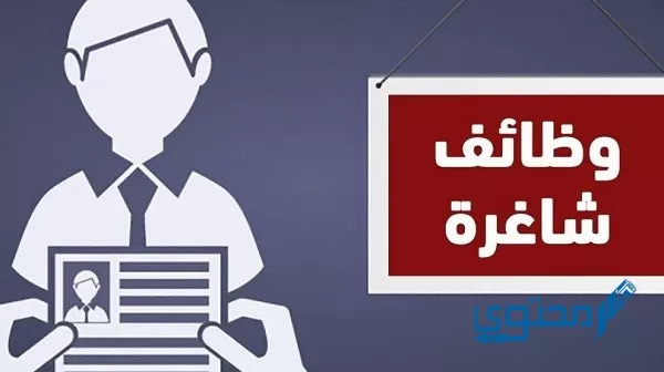 رابط التسجيل وظائف أبشر والتقديم على الوظائف الشاغرة