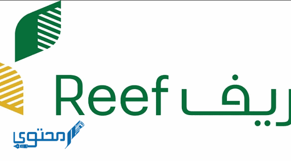 رابط منصة ريف تسجيل دخول ريف reef login