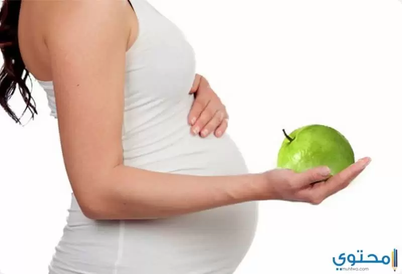 نظام رجيم للحامل لعدم اكتساب وزن زائد