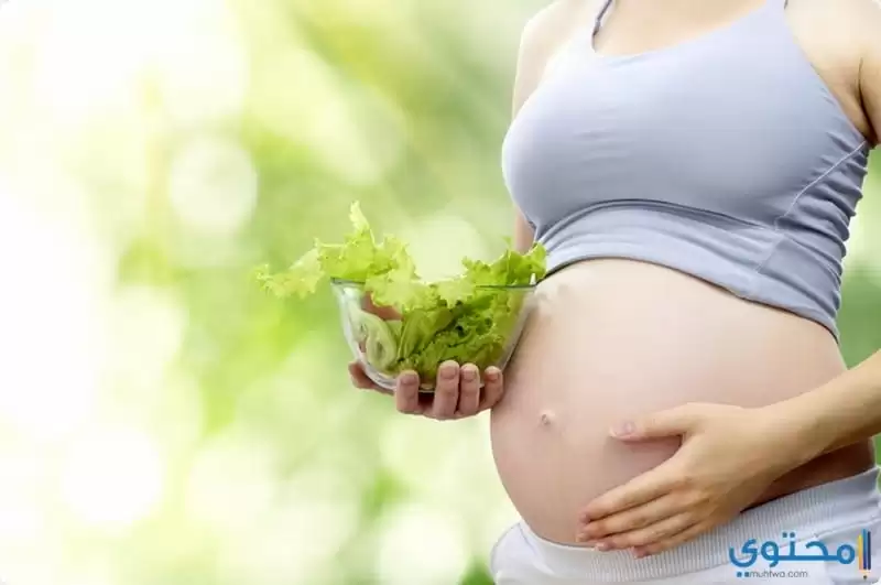 فوائد تناول البقوليات للحامل