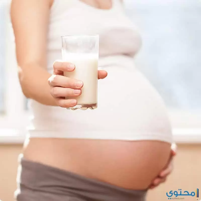 فوائد تناول منتجات الألبان للحامل