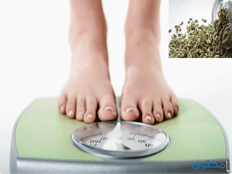 استخدام الشمر في إنقاص الوزن
