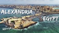 دليل برامج رحلات مدينة الإسكندرية (رحلة اليوم الواحد لعروس البحر)