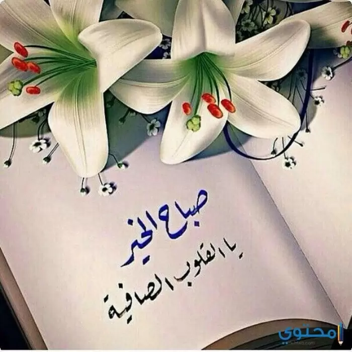 رسائل صباح الخير يا حبيبي رومانسية وأجمل كلمات صباحية للحبيب